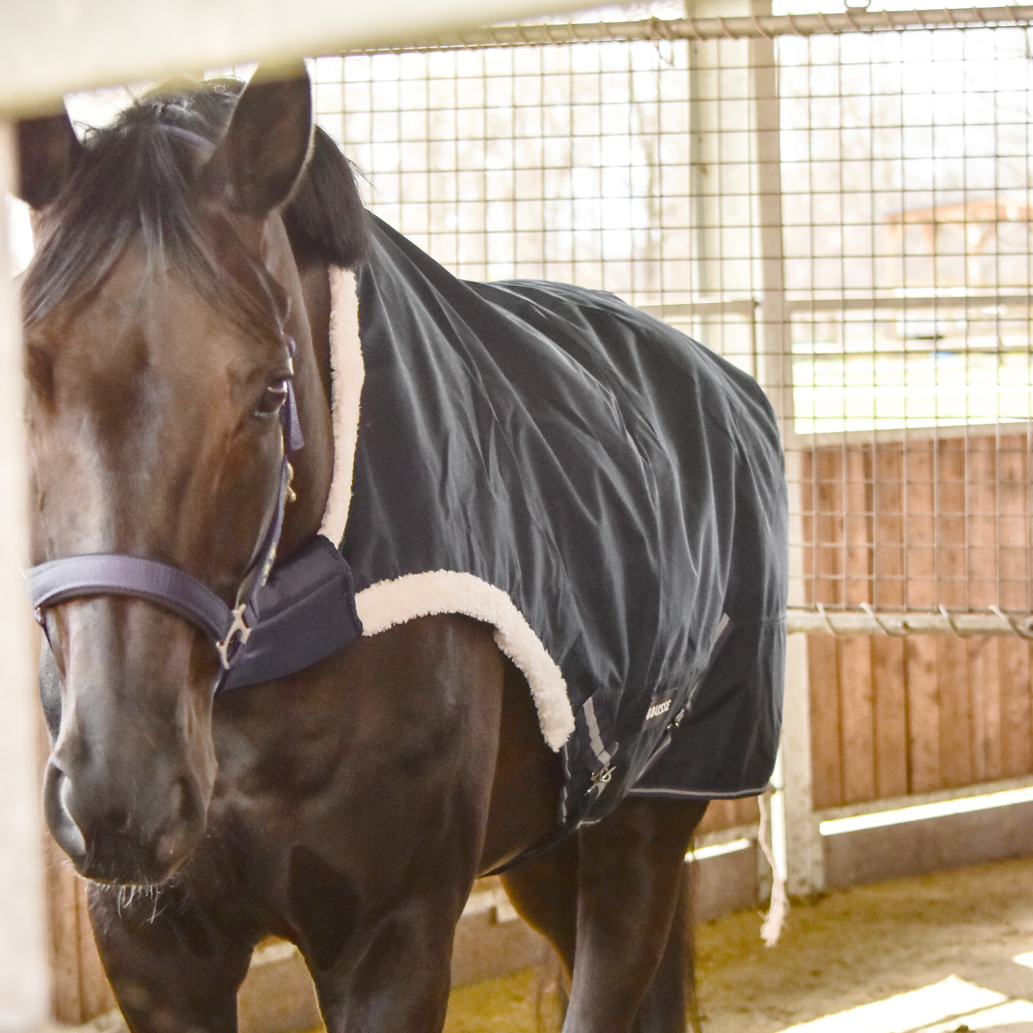 Horse walker rug Walking 100