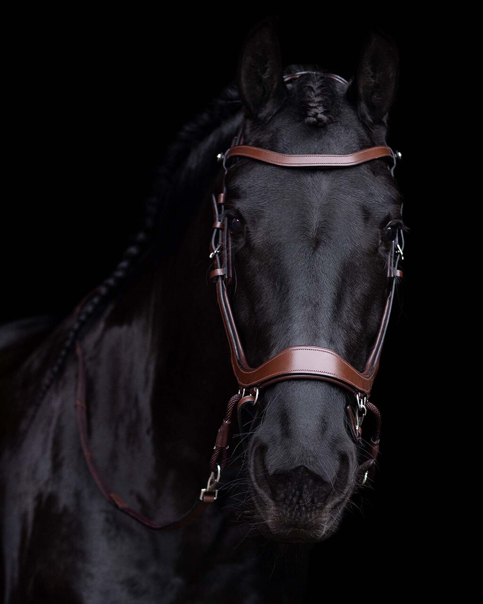 Snaffle FaySport bitless