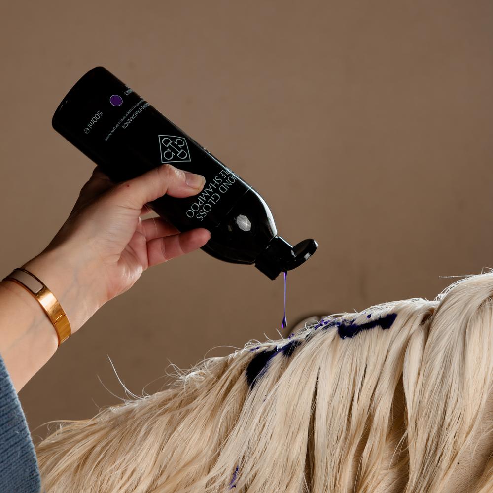 Almond Gloss Purple Shampoo