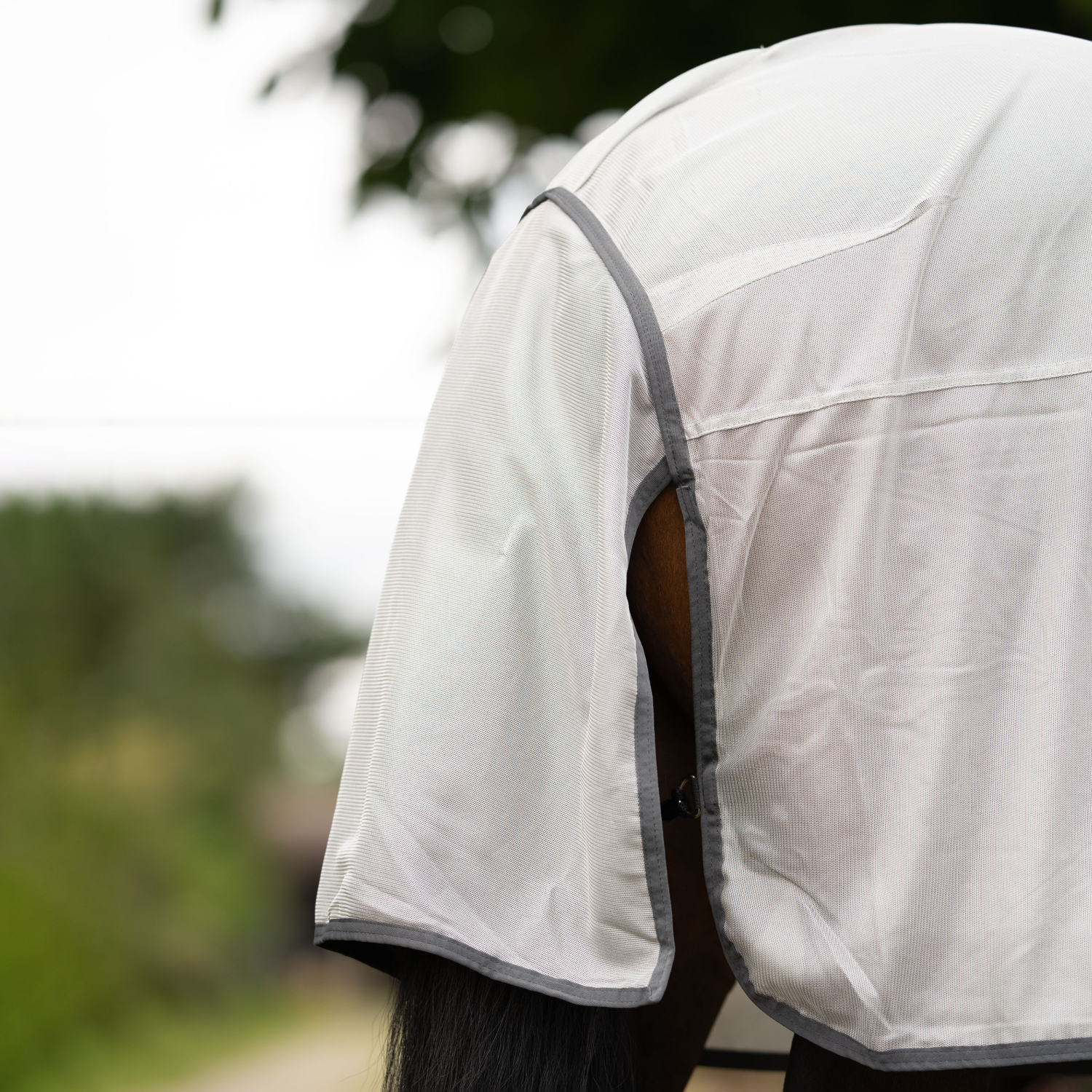 Sunshine II outdoor fly rug