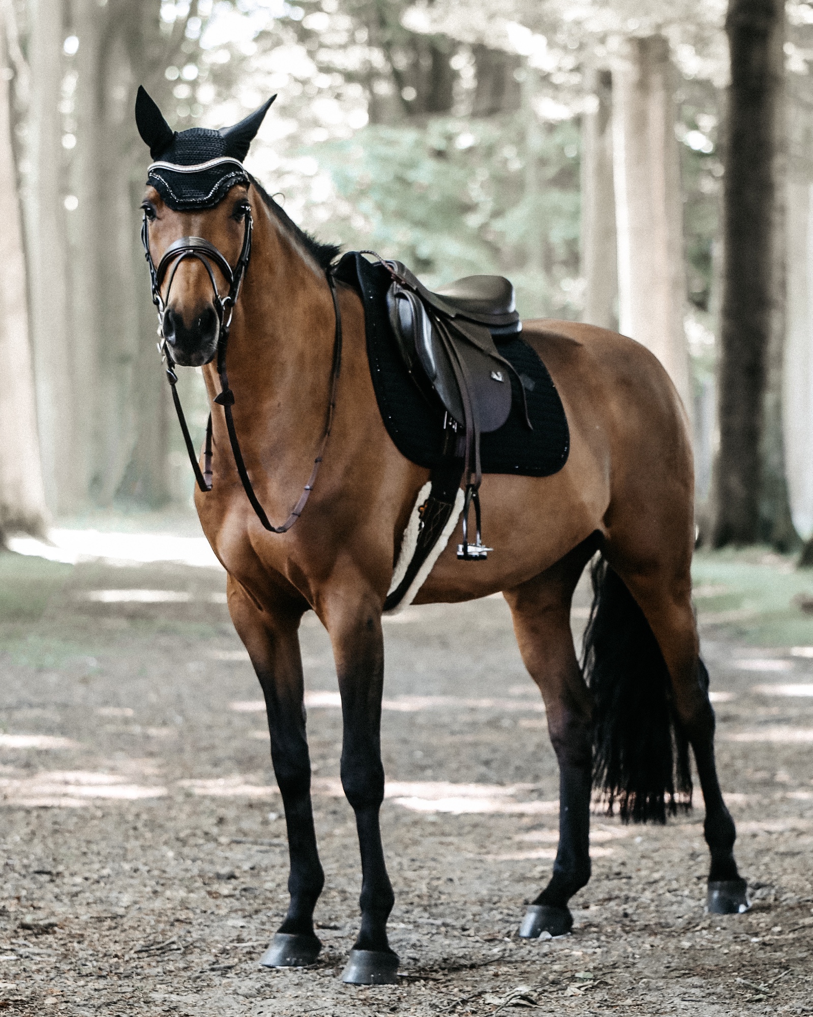 Jumping saddle pad Pearls