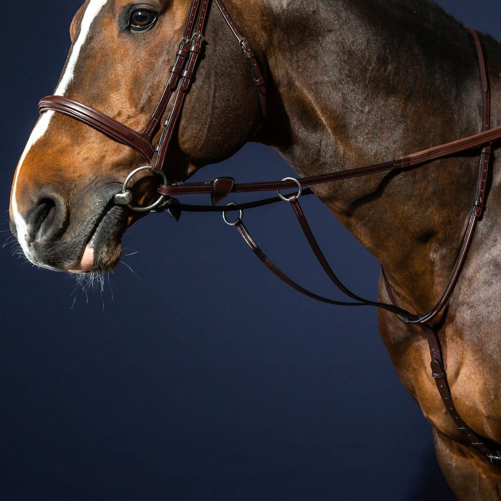 Martingale à anneaux coulissante
