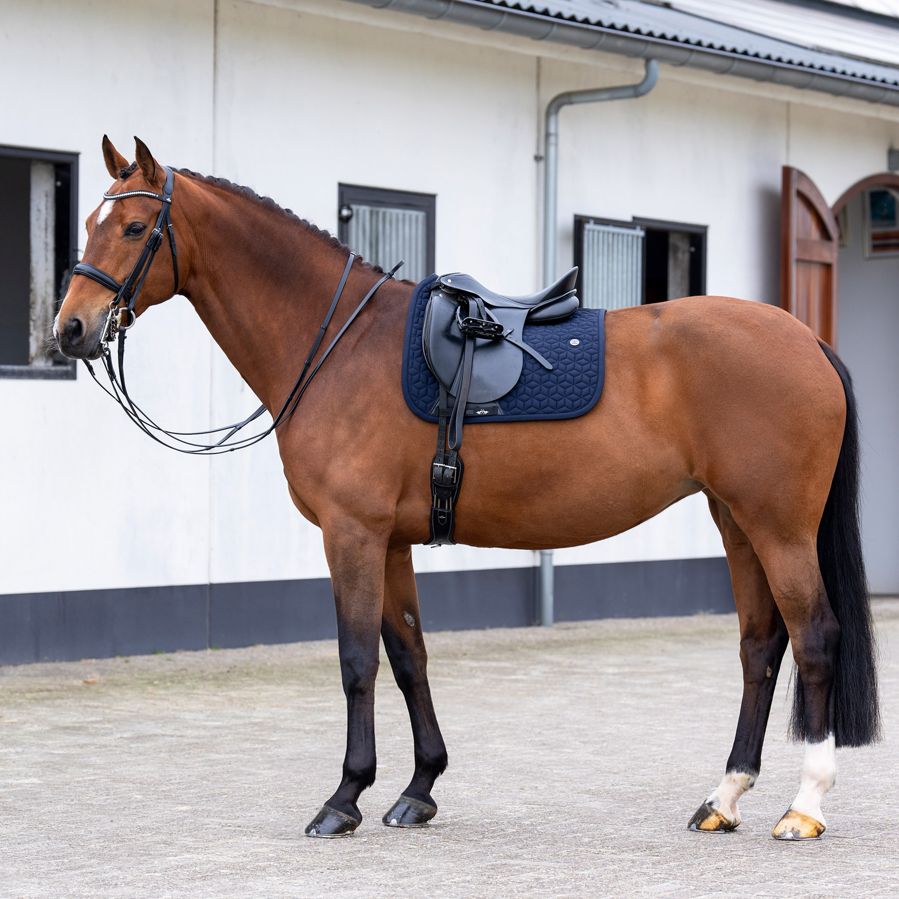 Schabracke Essential DR