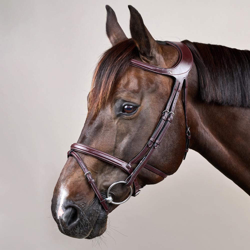 Difference Trense NE