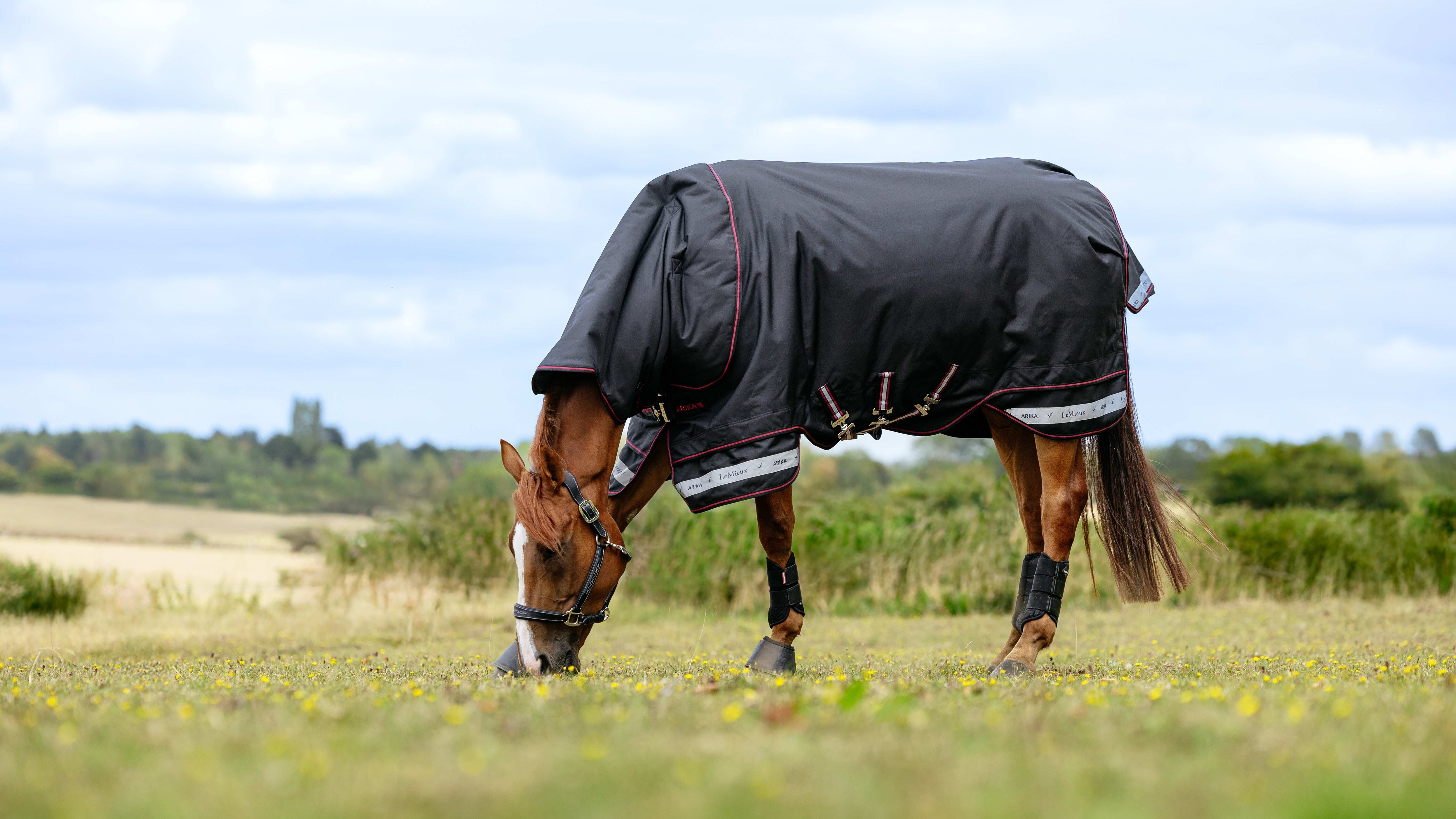 Arika Storm-Tek Weidedecke 350G