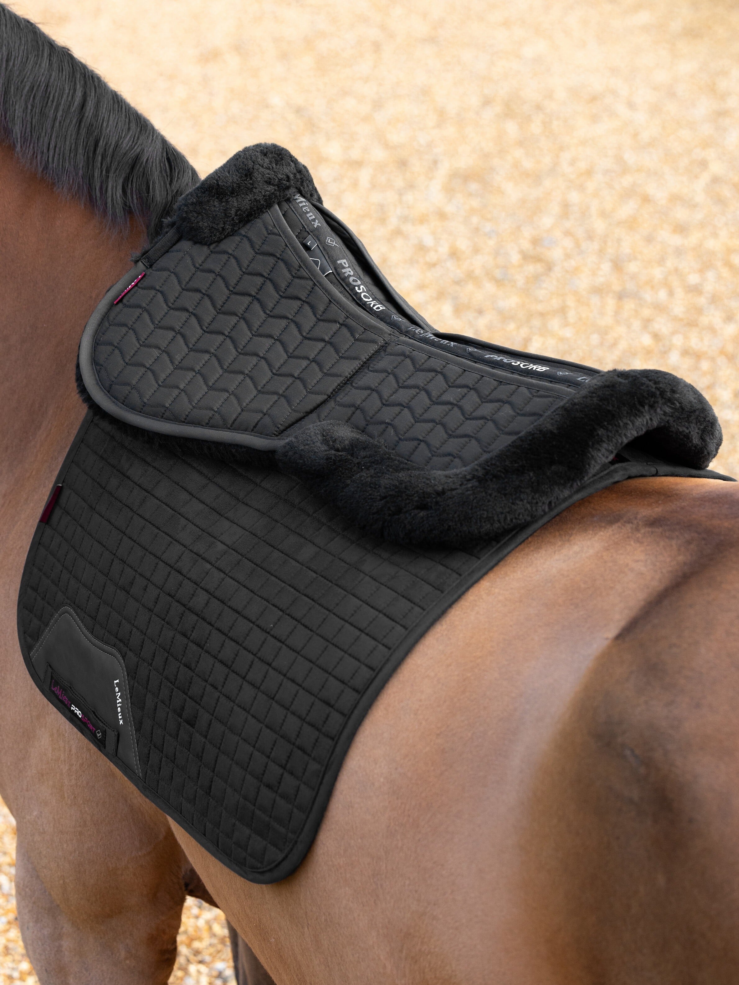 Merino+ Prosorb zadelpad met 2 inlegzakken