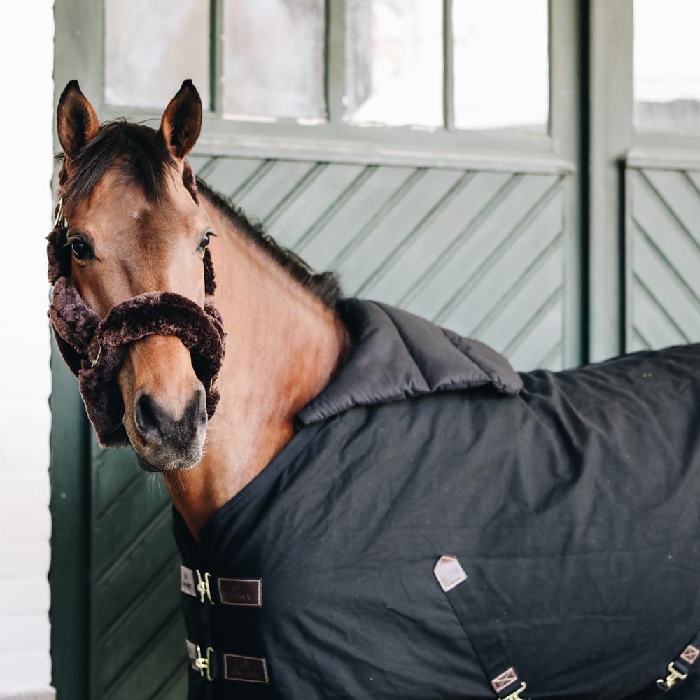 Chest protector Horse BIB Summer