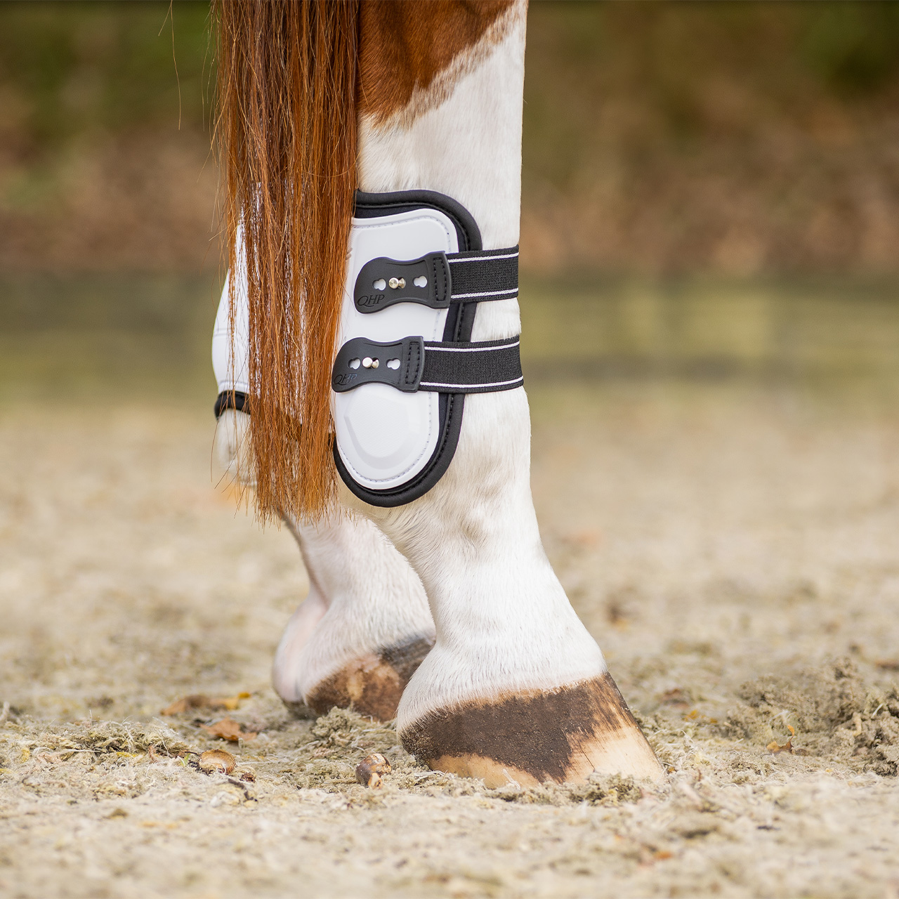 Champion fetlock boots