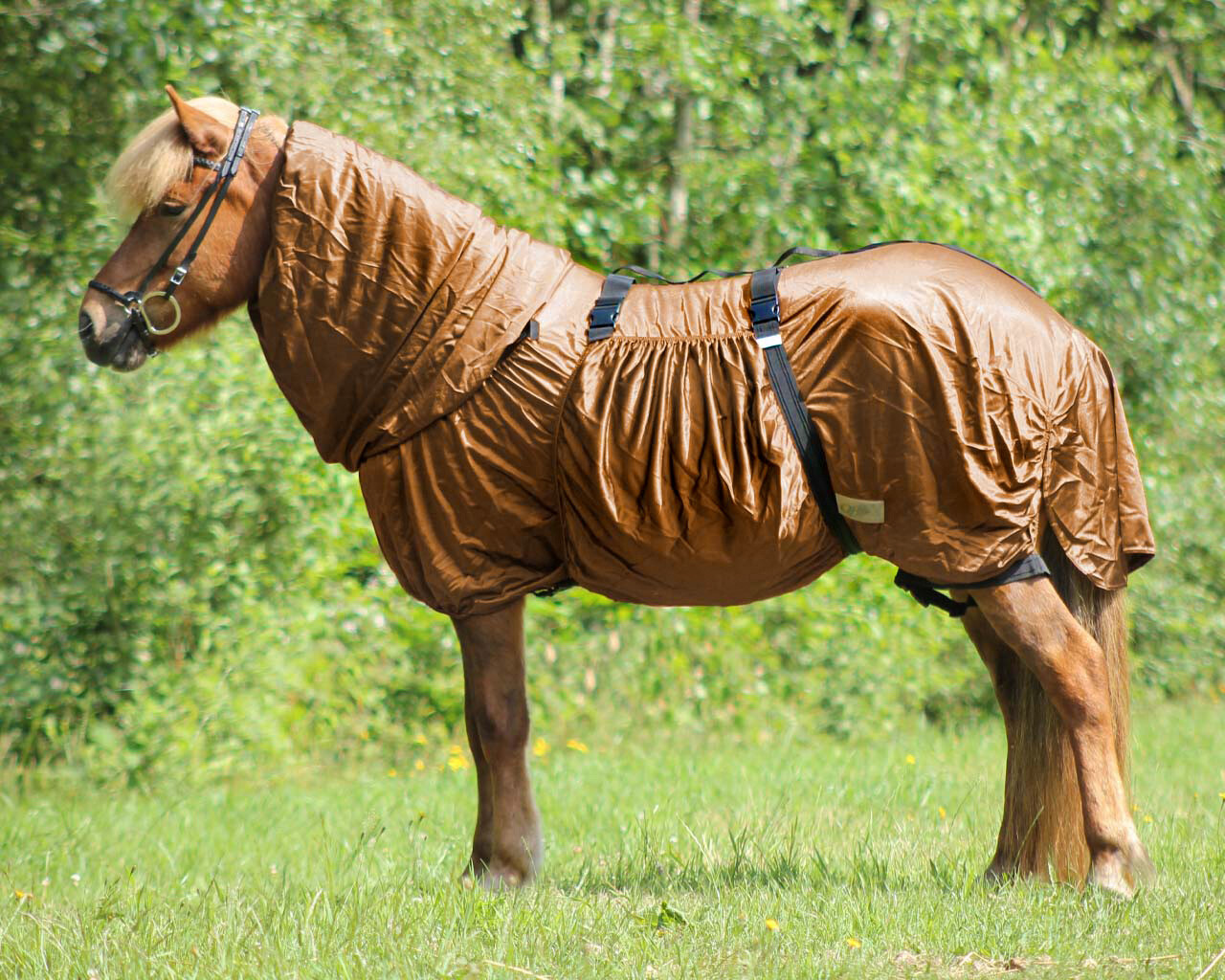 Ekzemerdecke Icelandic