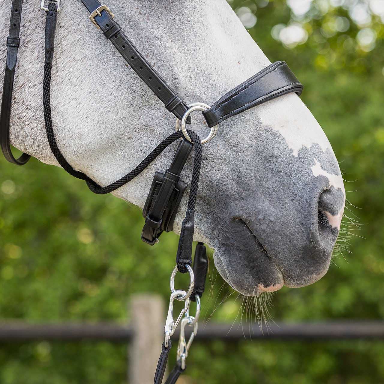 Snaffle bitless Sunna