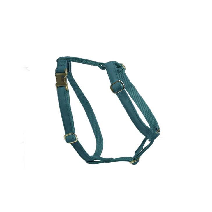 Loop Velvet dog harness