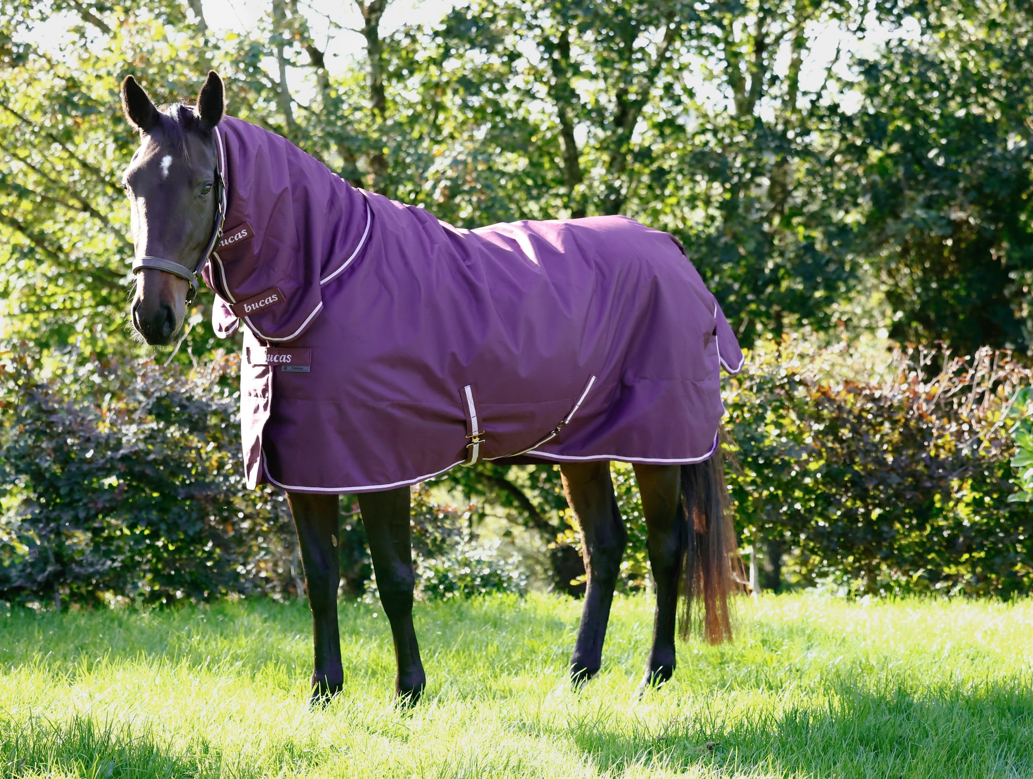 Outdoordecke Freedom Turnout 150 g mit Halsteil in Blackberry