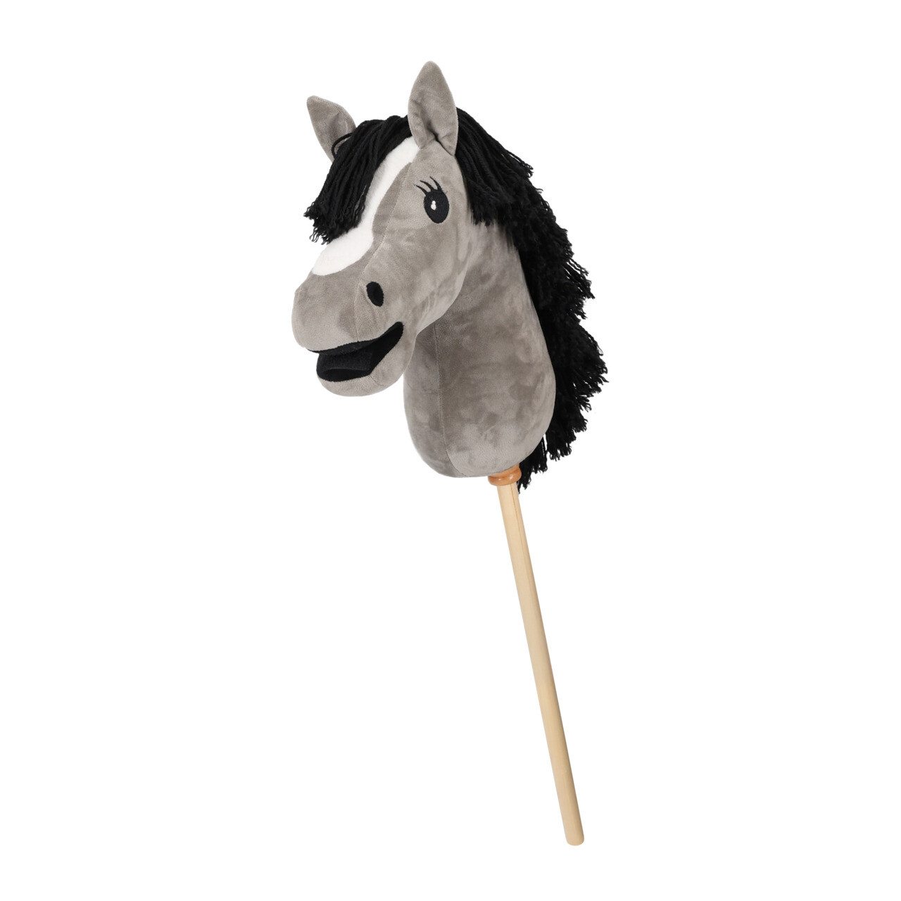 Hobby Horse