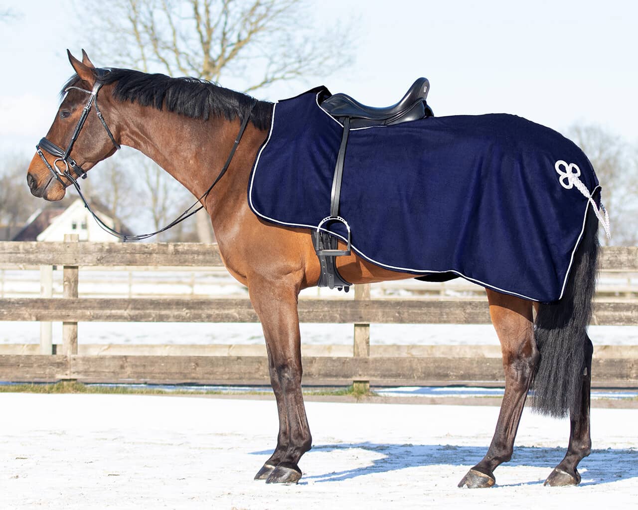 Riding rug fleece with ornament