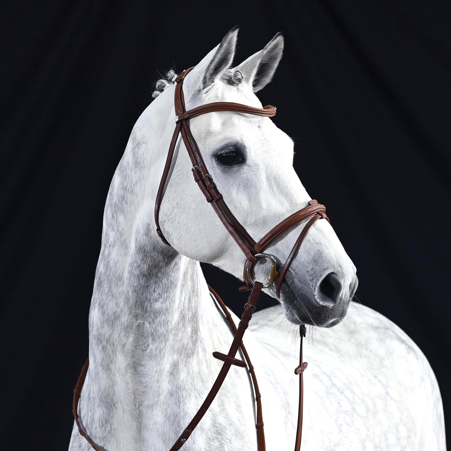 Trense Take-Off Line AD