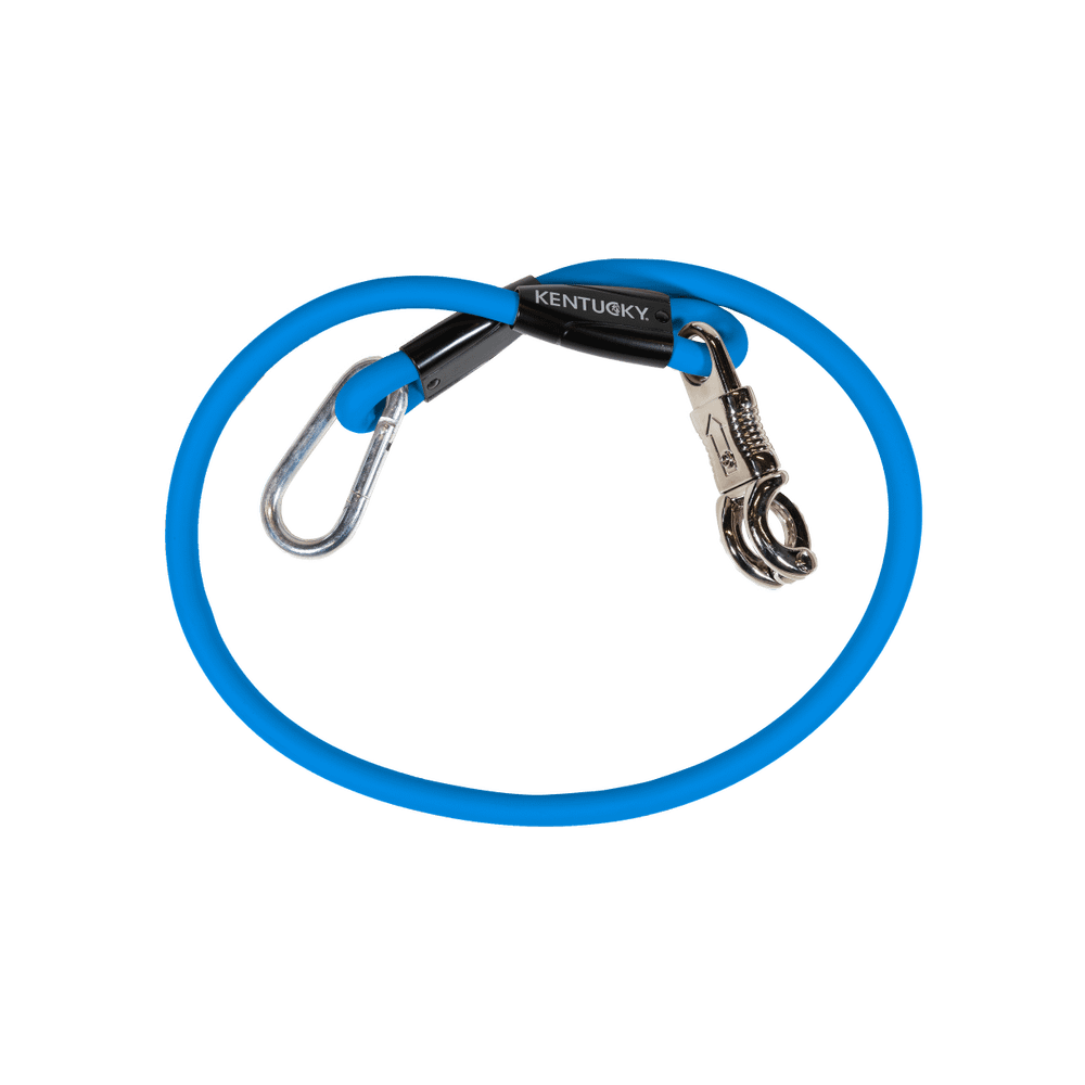 Elastic tether