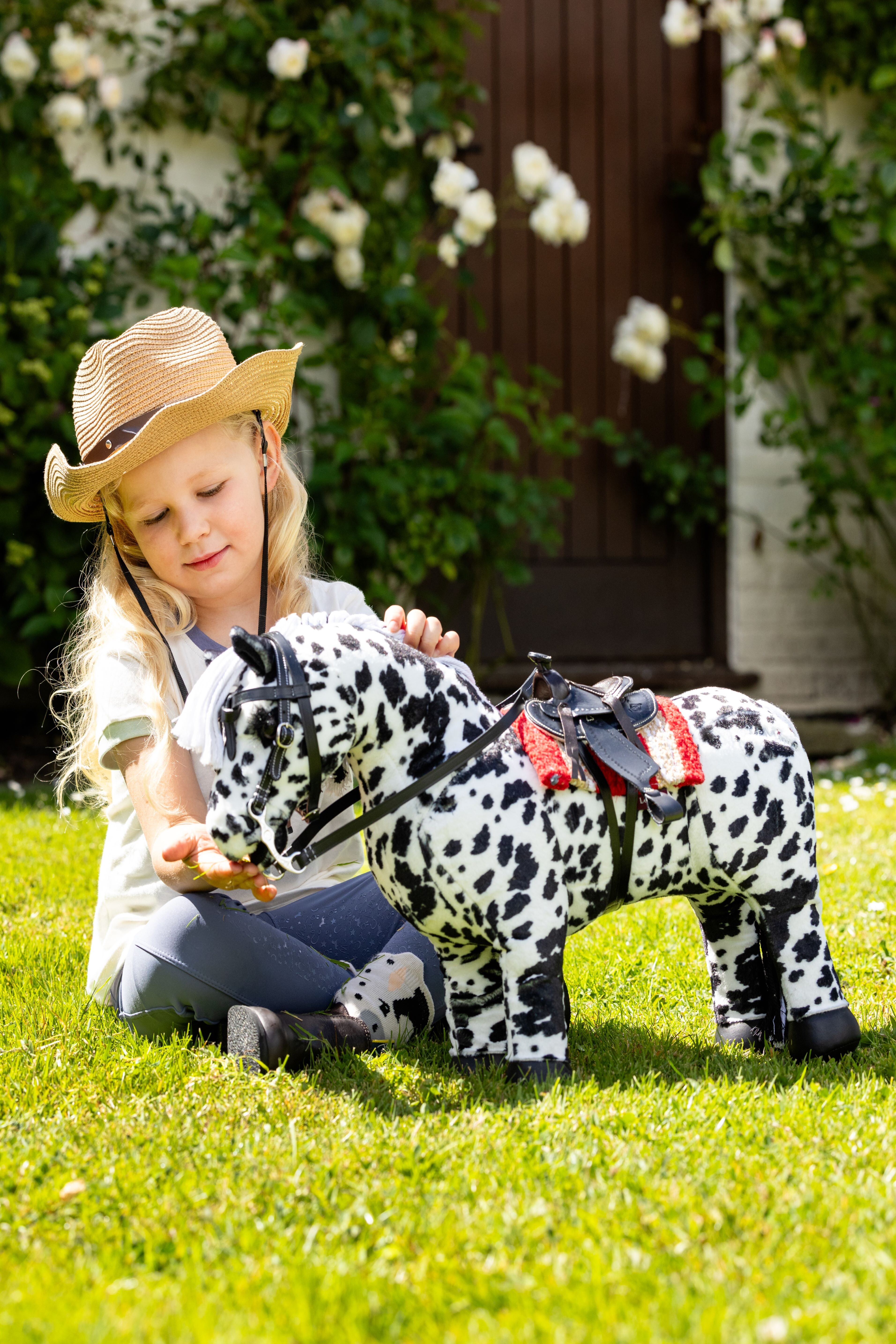 Toy Pony filet western