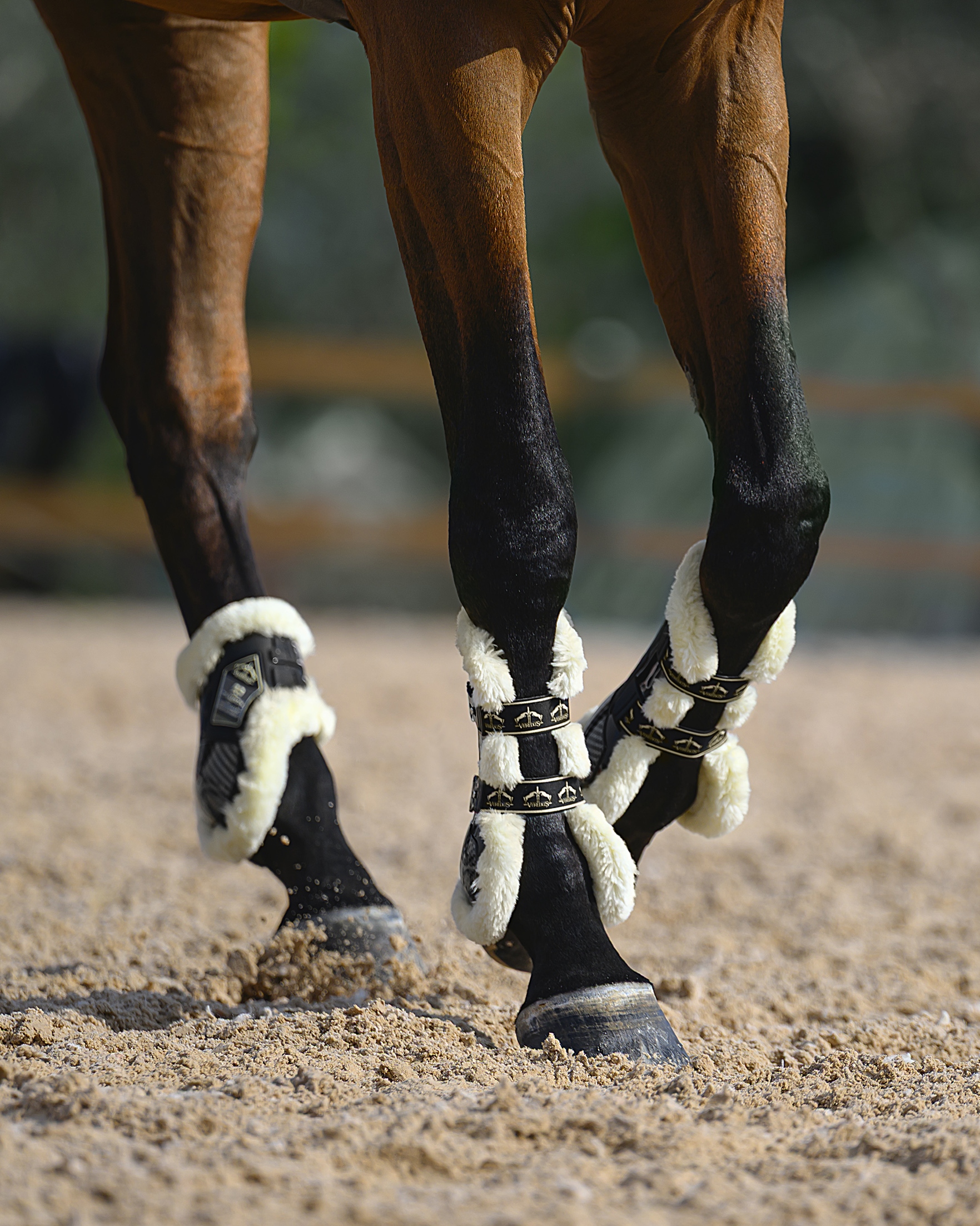 Gamaschen Carbon Gel Absolute STS