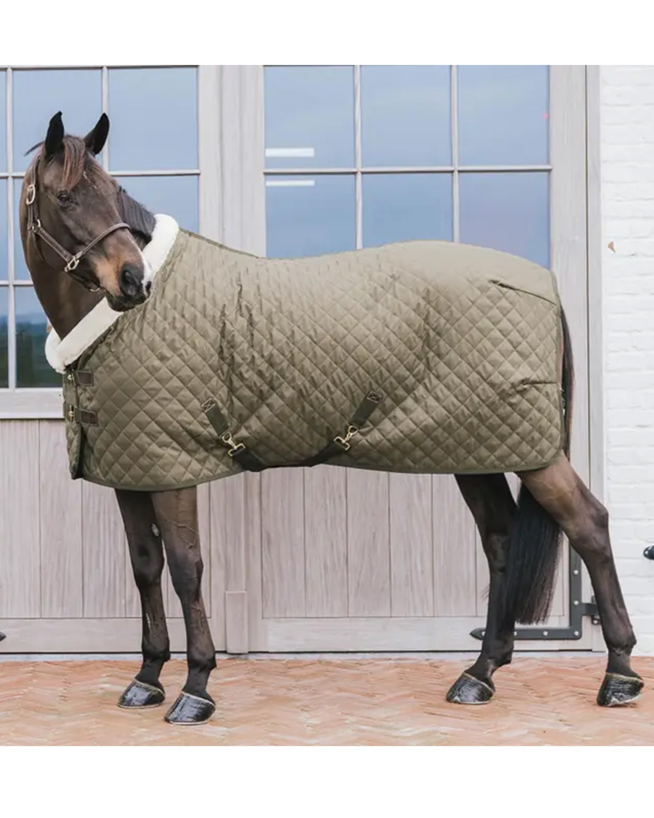 Show rug 160g Showrug in khaki
