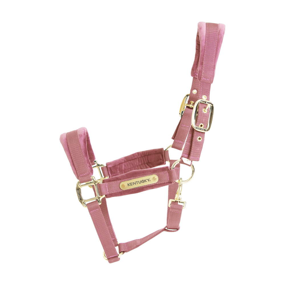 Velvet halter