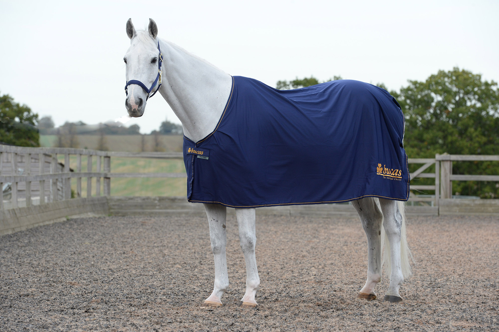 Abschwitzdecke Power Prize Cooler in Navy/Gold Logo