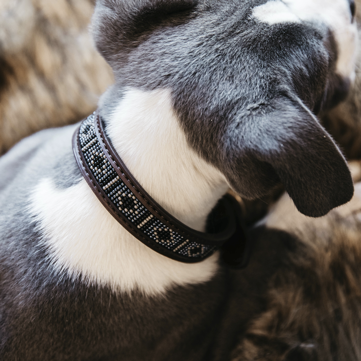 Hunde Halsband Handgemacht Pearls | Kentucky Dogwear