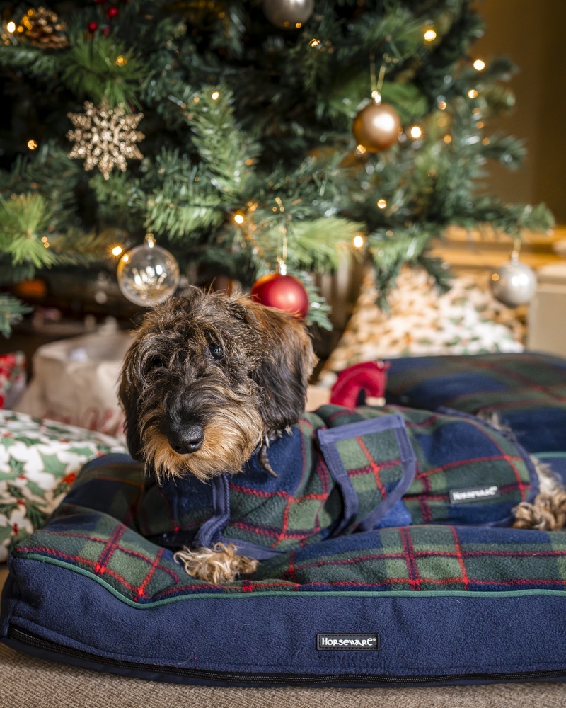 Dog coat Christmas Special