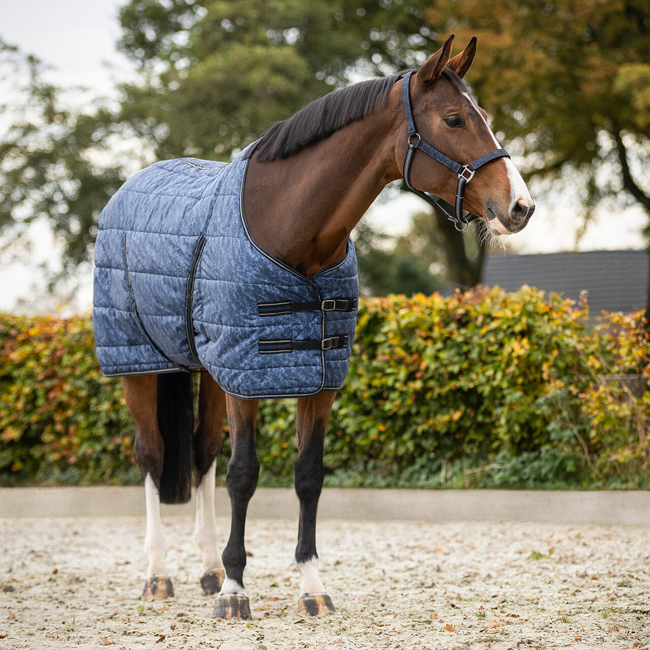 Stalldecke Start Collection 200gr