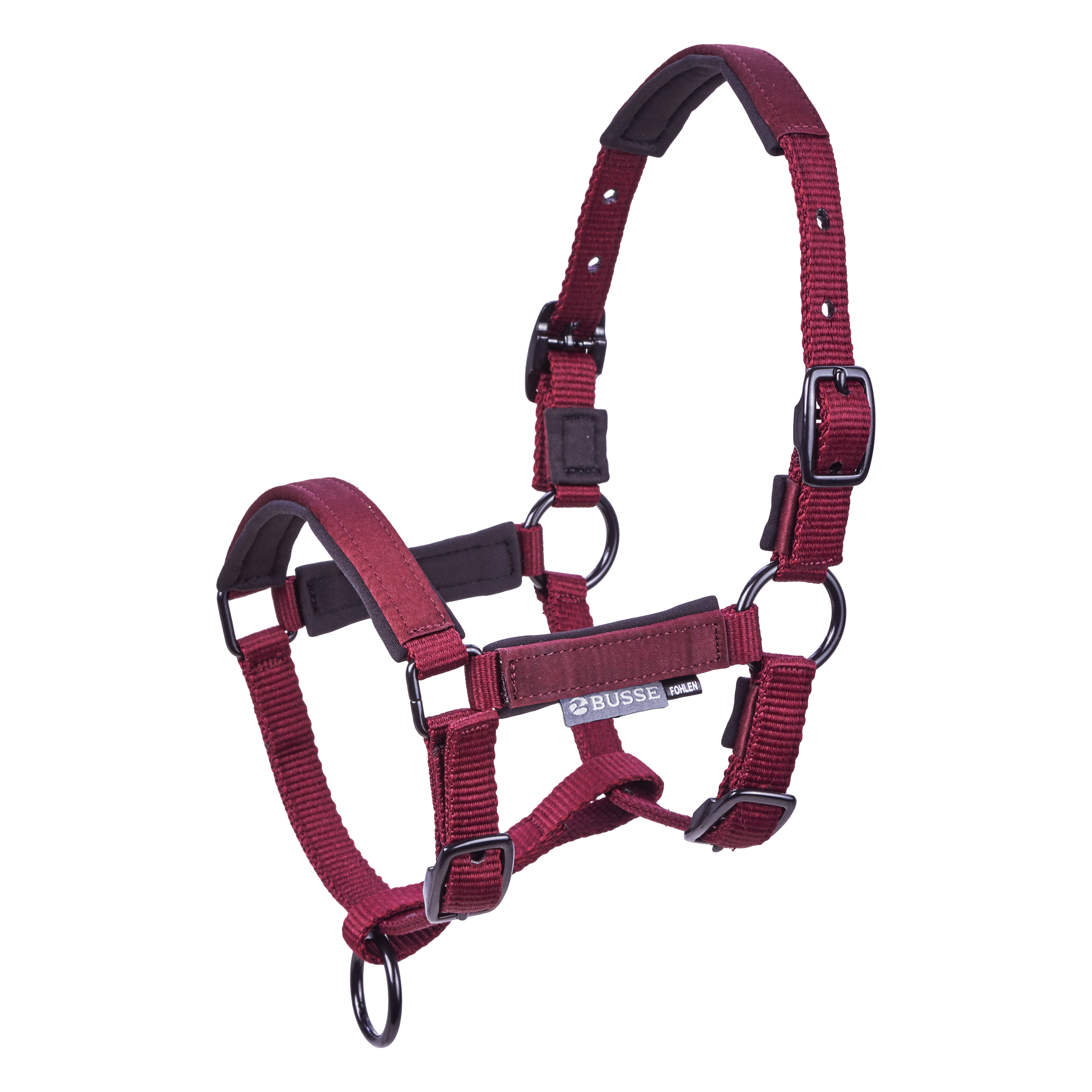 Headcollar FOAL-TASTIC ST