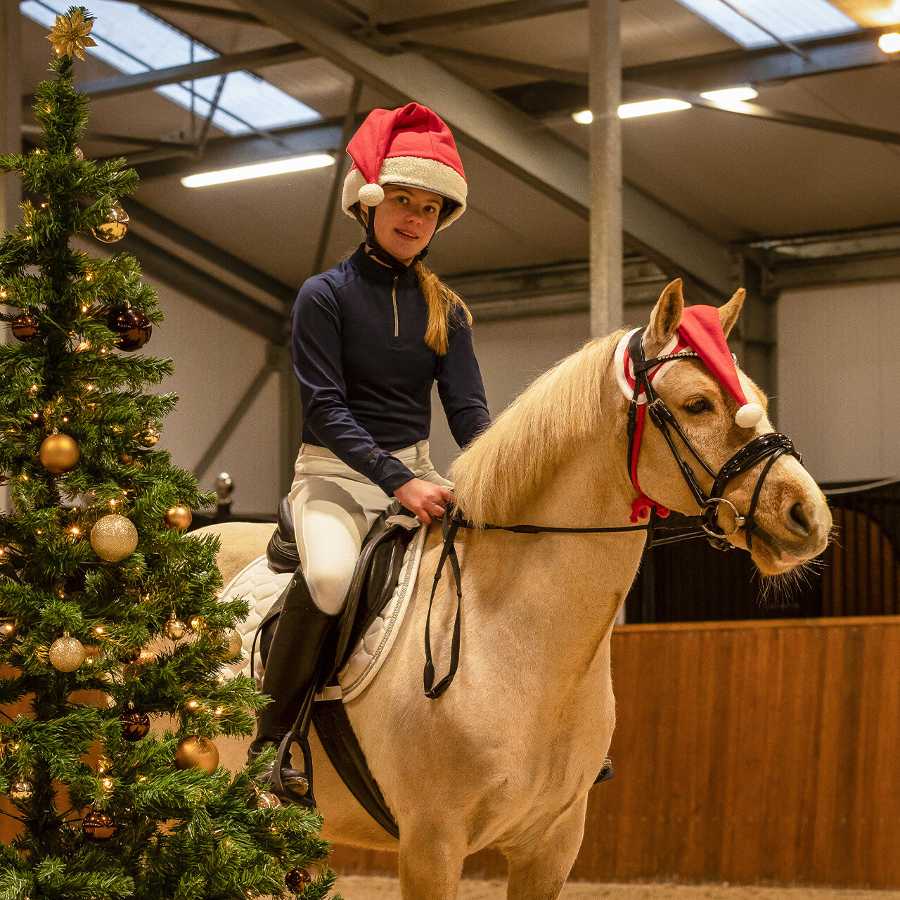 Weihnachtsmütze Pferd