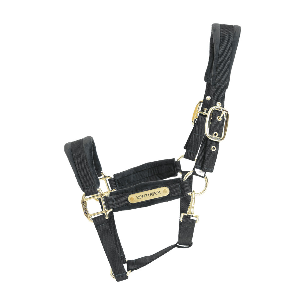 Velvet halter