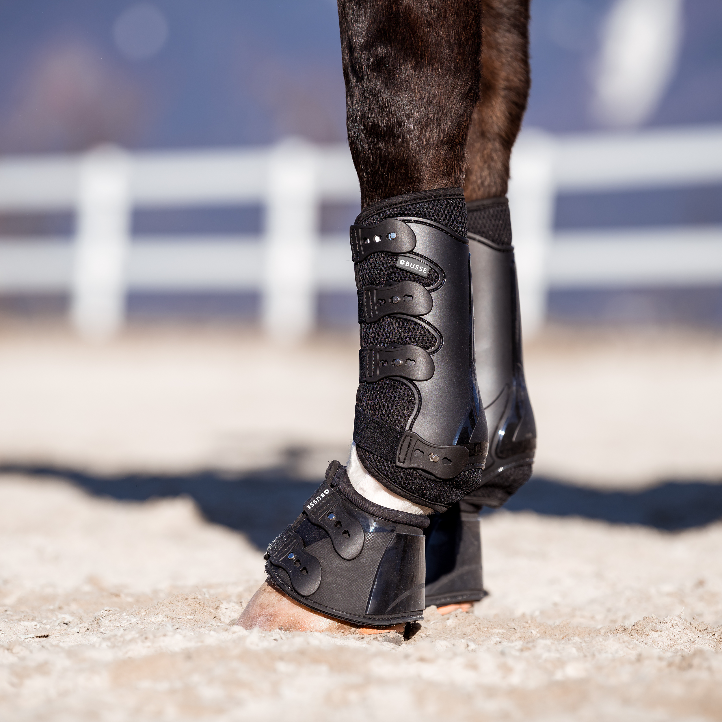 Guêtres Dressage-Pro-Mesh