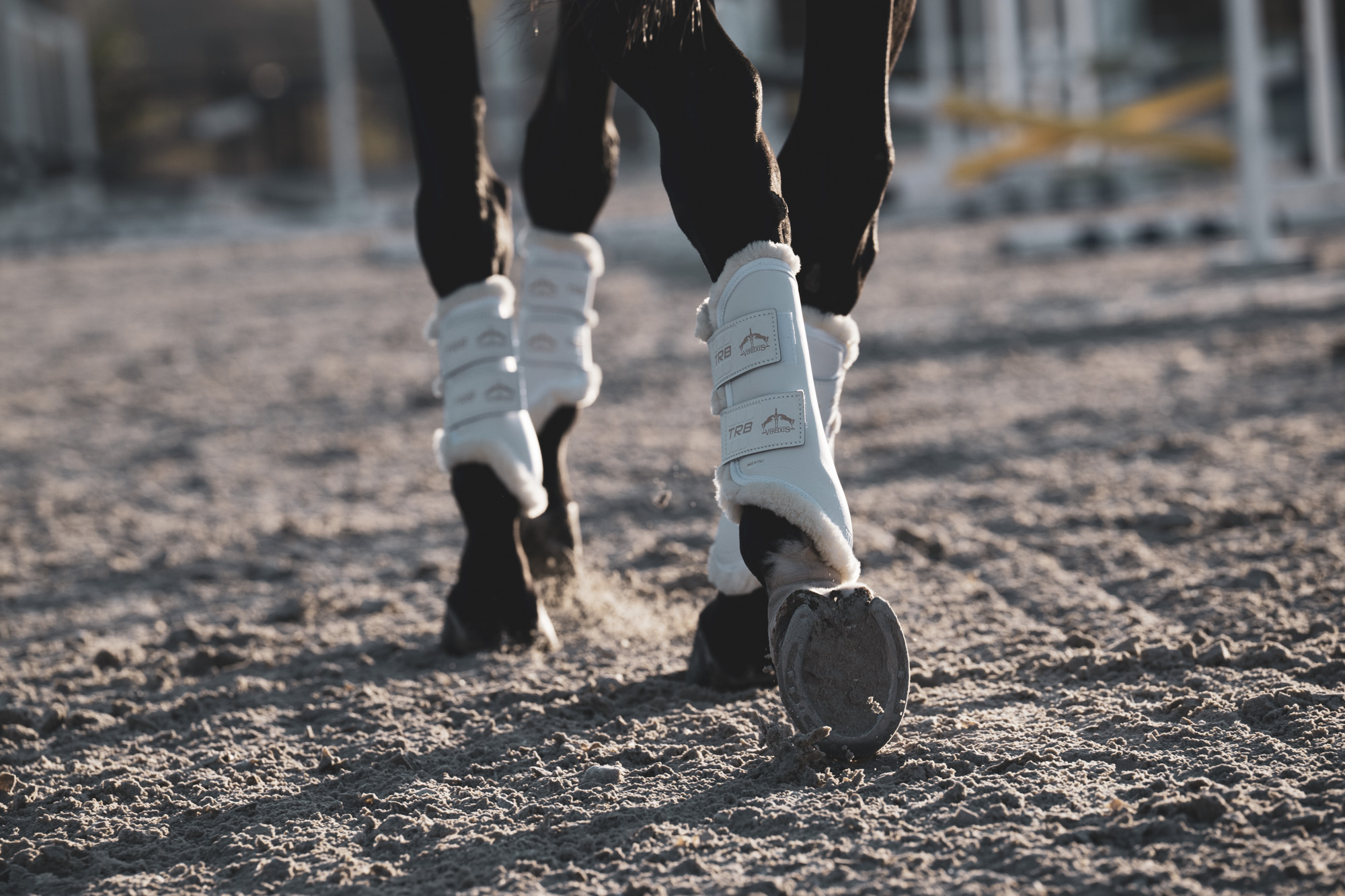 Gamaschen TRB Save the Sheep Front