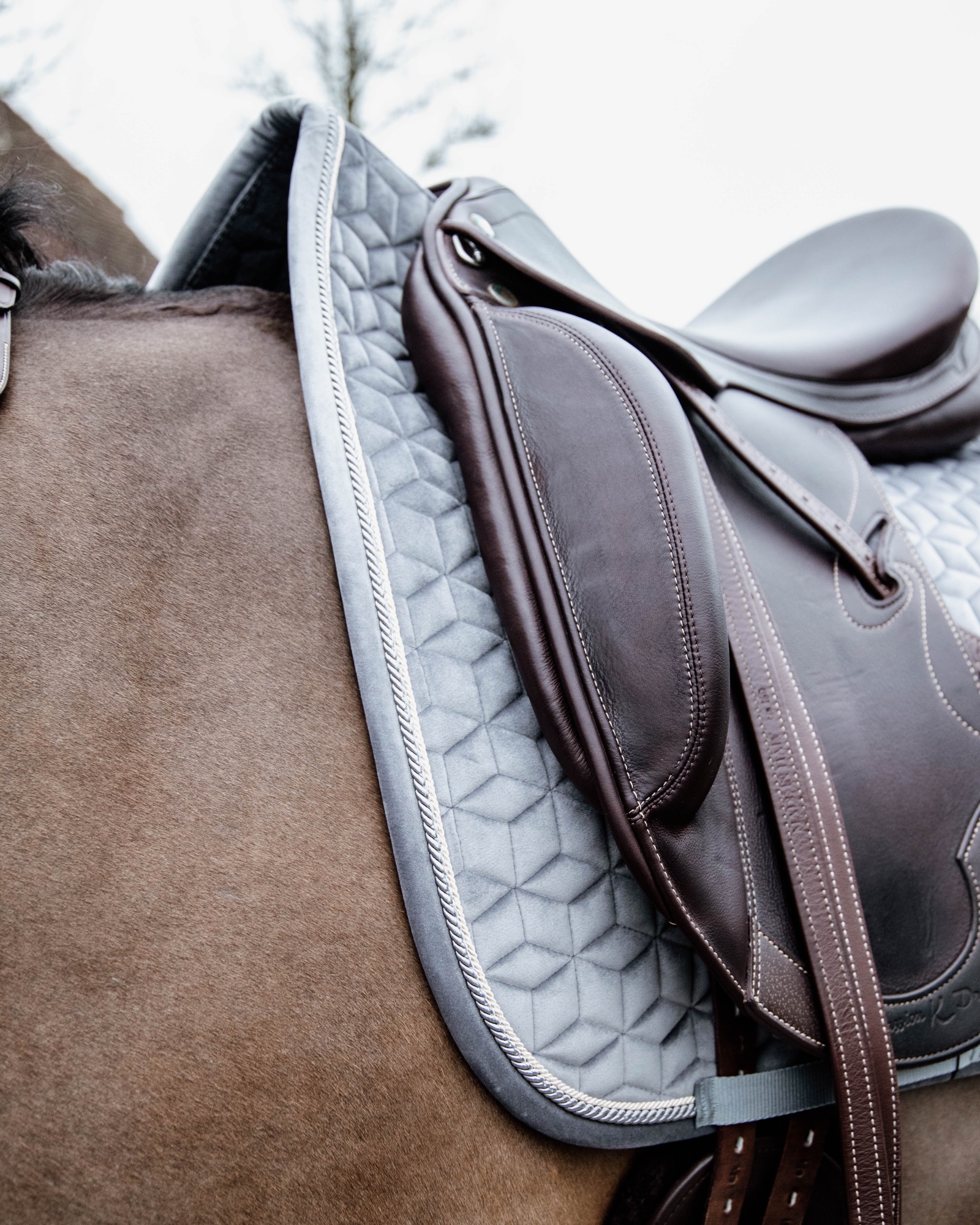 Dressage saddle pad Basic Velvet