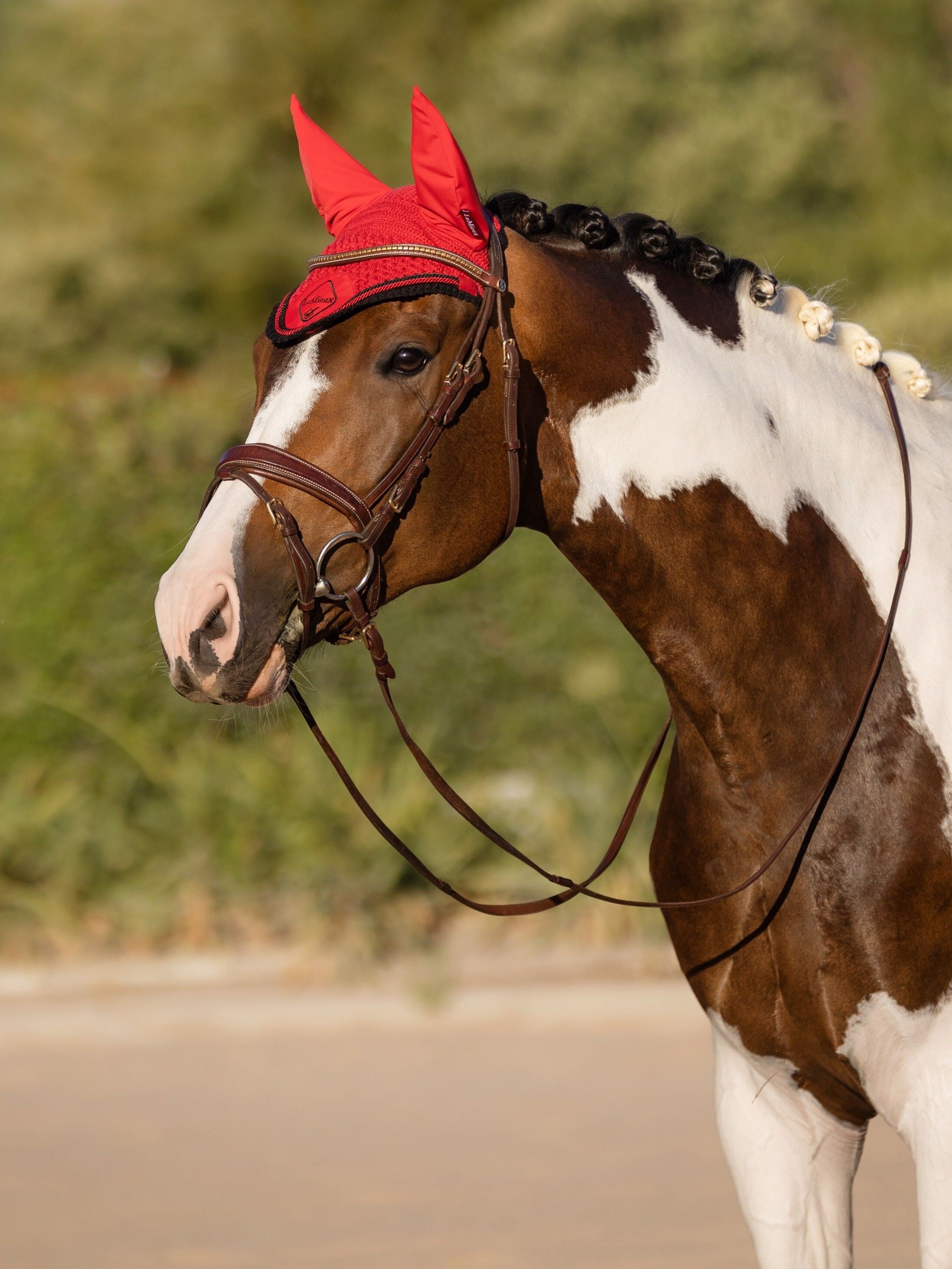 Classic ear bonnet