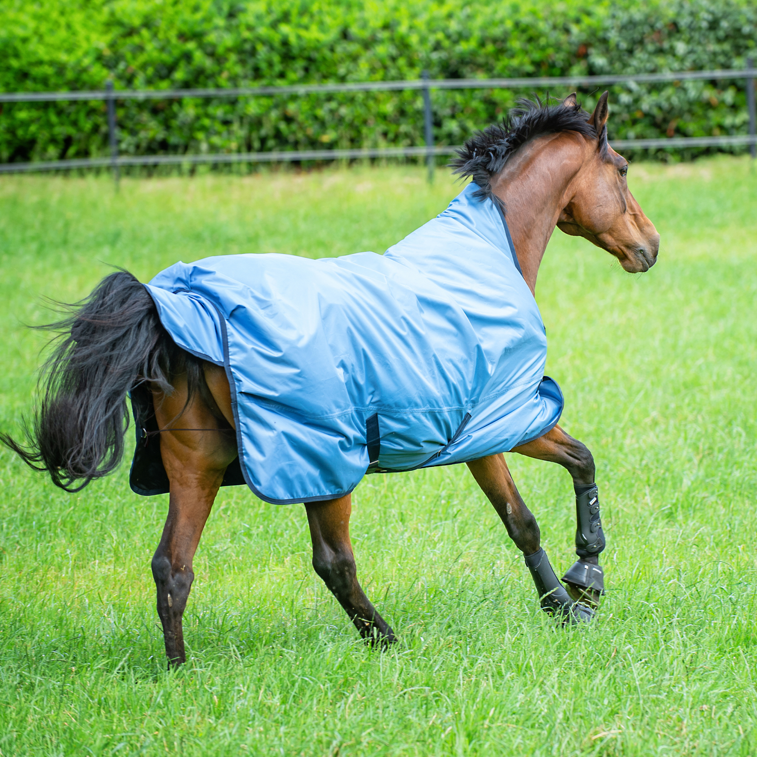 Outdoordecke Rain-Dear 00