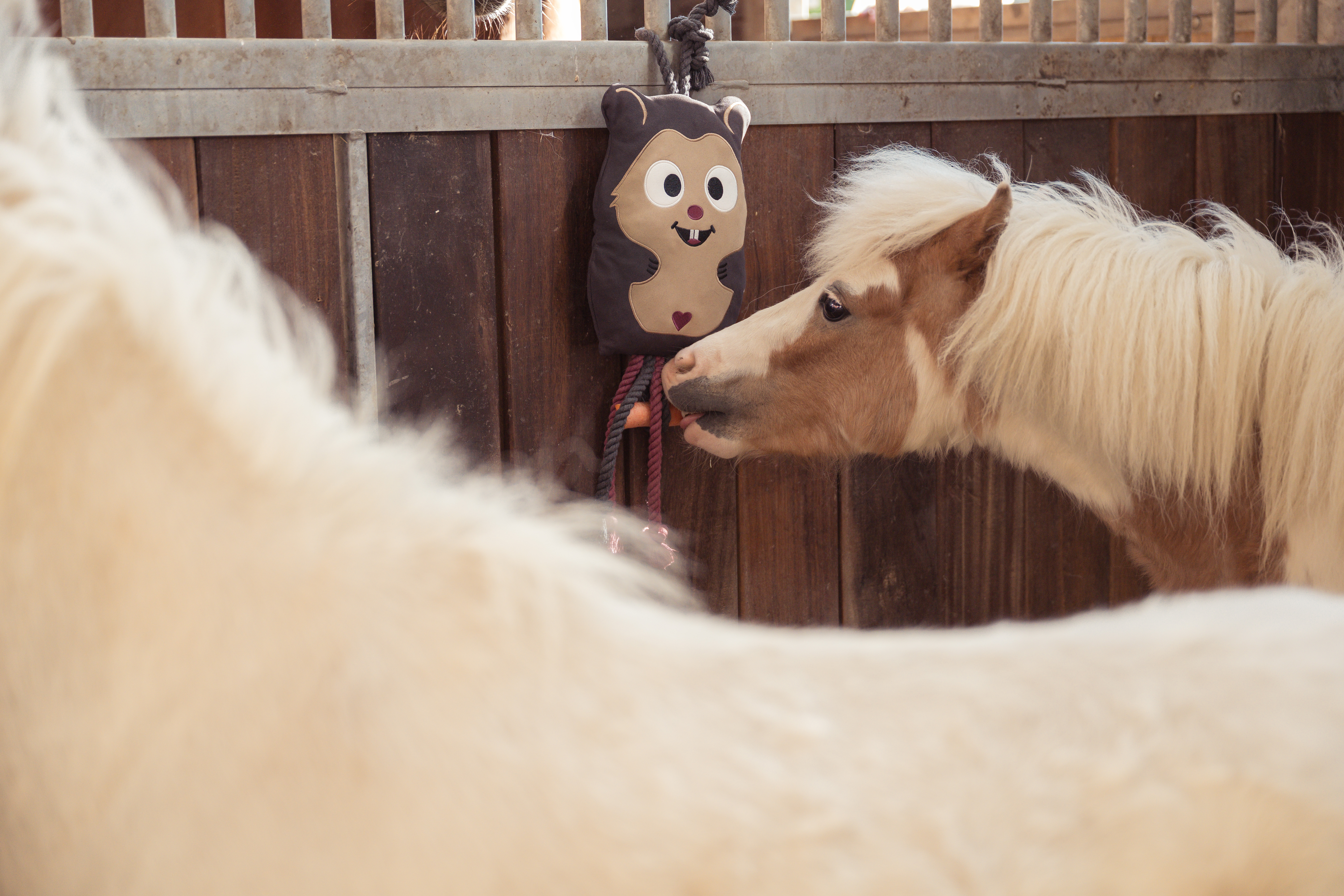 Pferdespielzeug Heritage Hamster