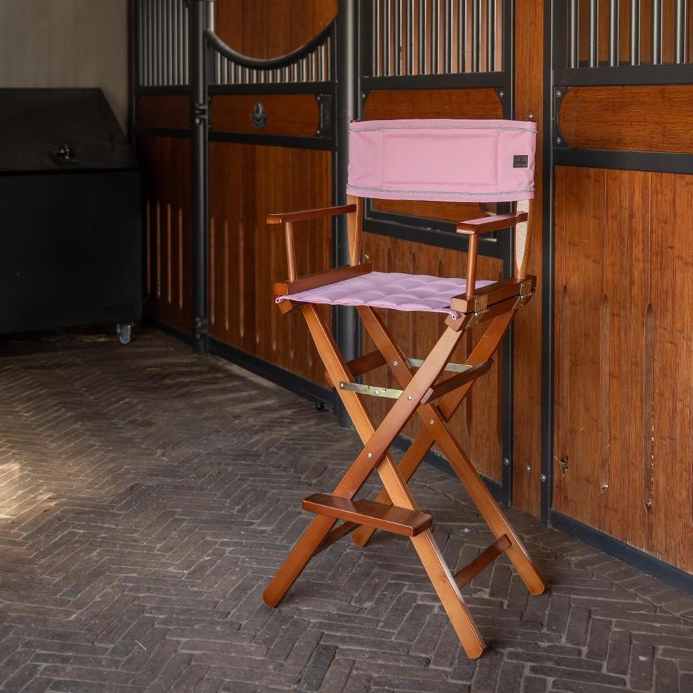 Seat and backrest for director's chair