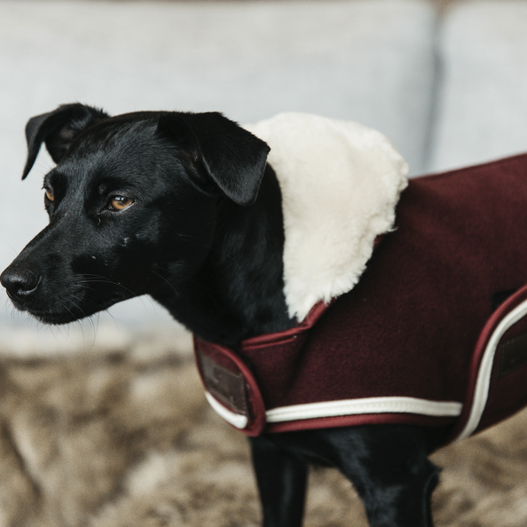Heavy fleece dog coat in bordeaux