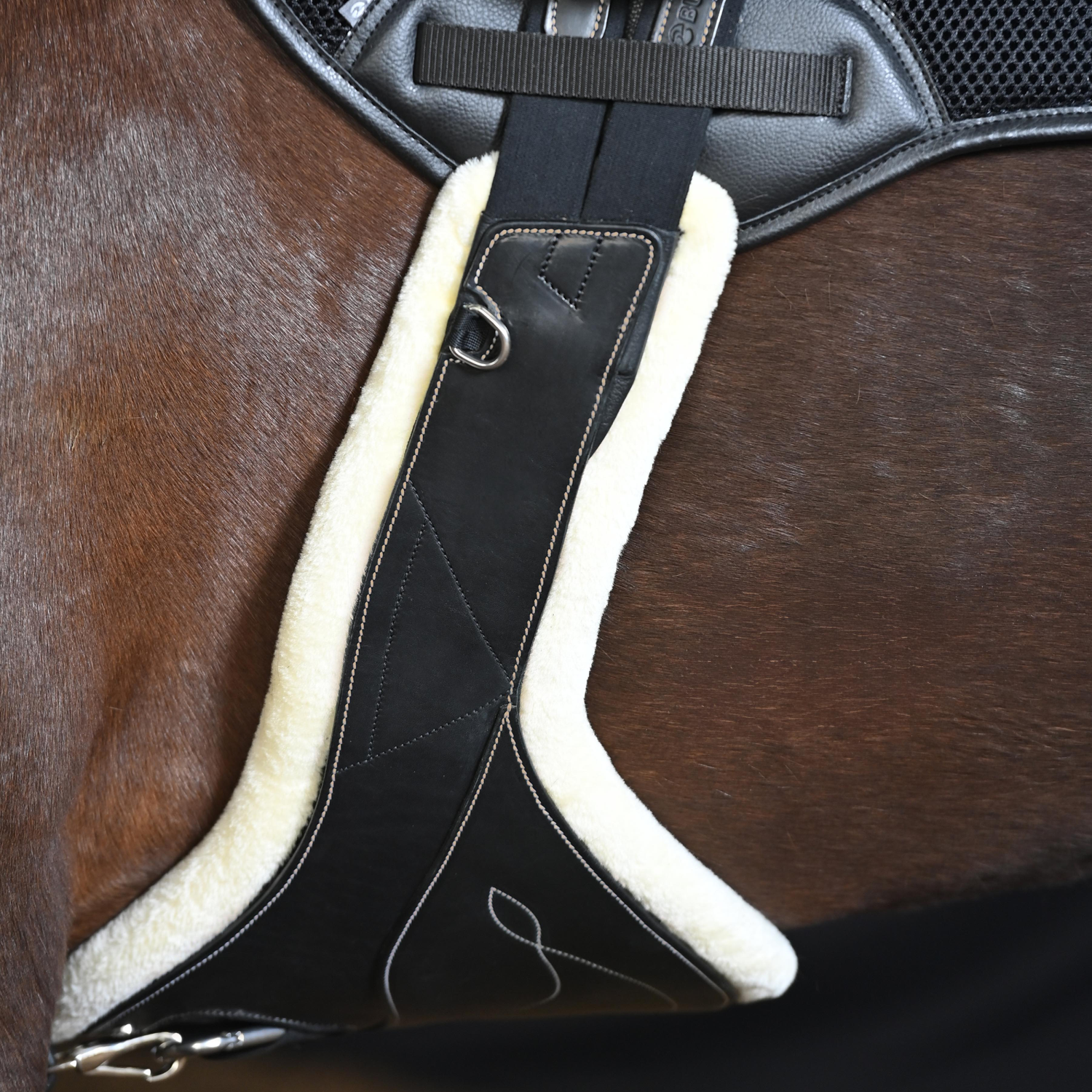 Sattelgurt Take-Off Line SG