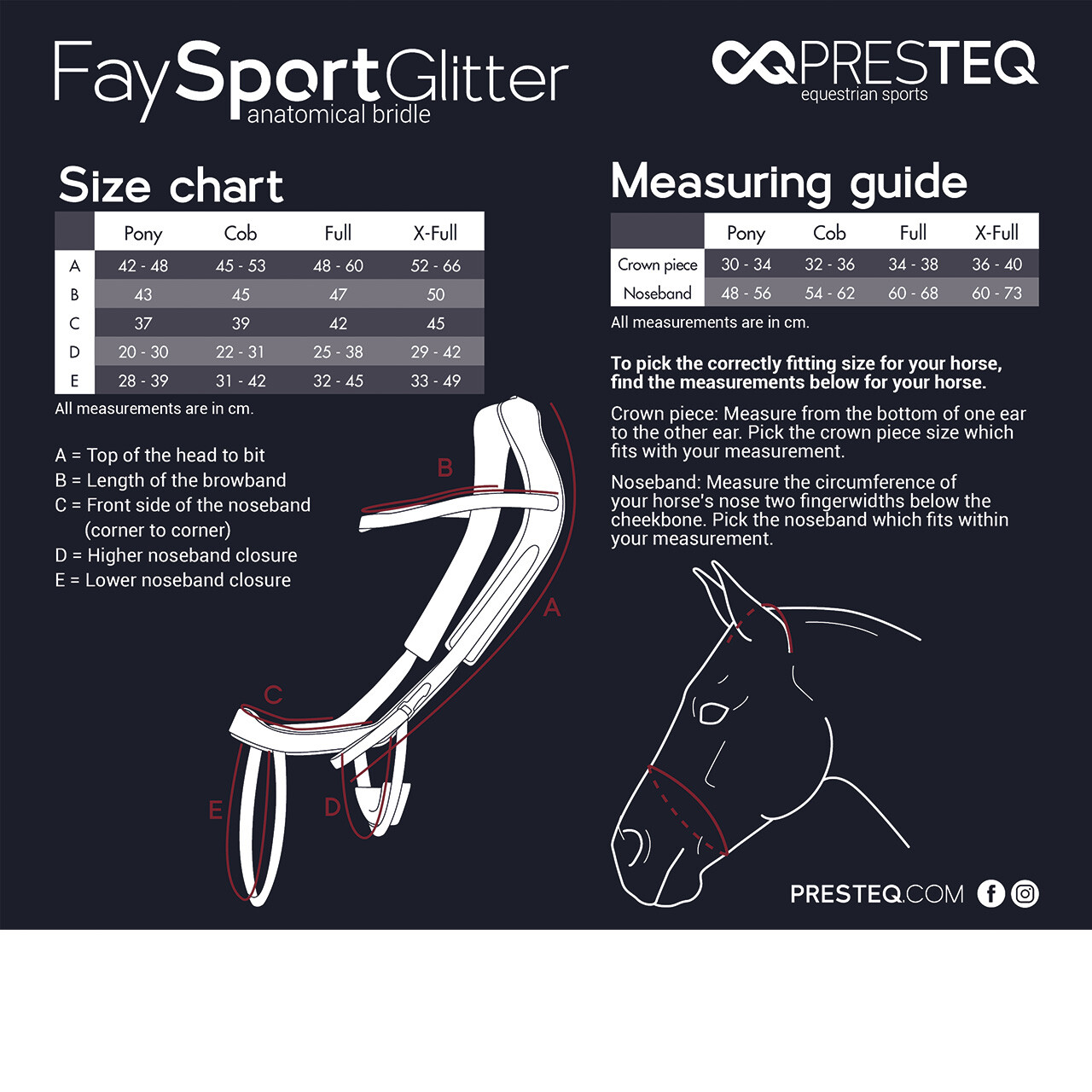 Bridle FaySport Glitter