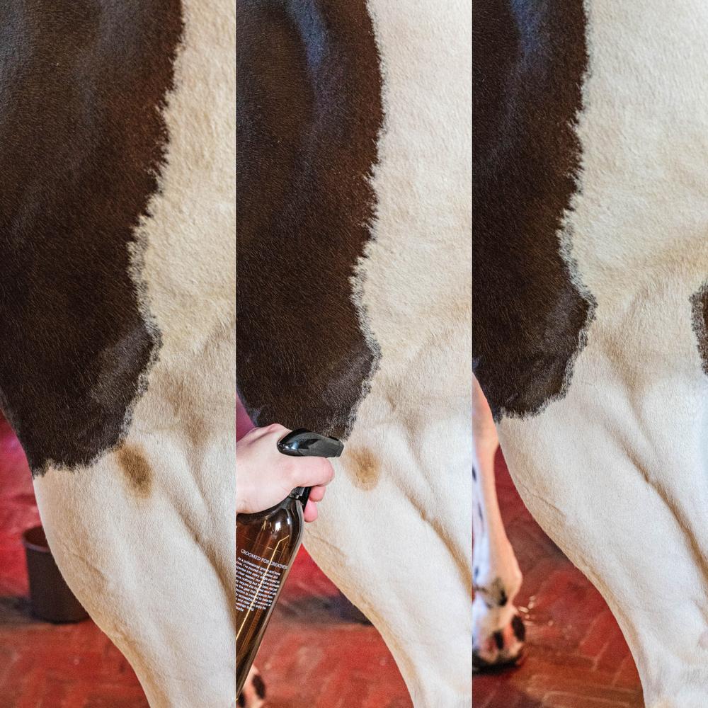 Almond Green Spot and Dust Remover