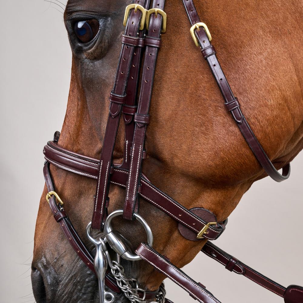 Kandare mit kombiniertem Reithalfter DY | Dy'on