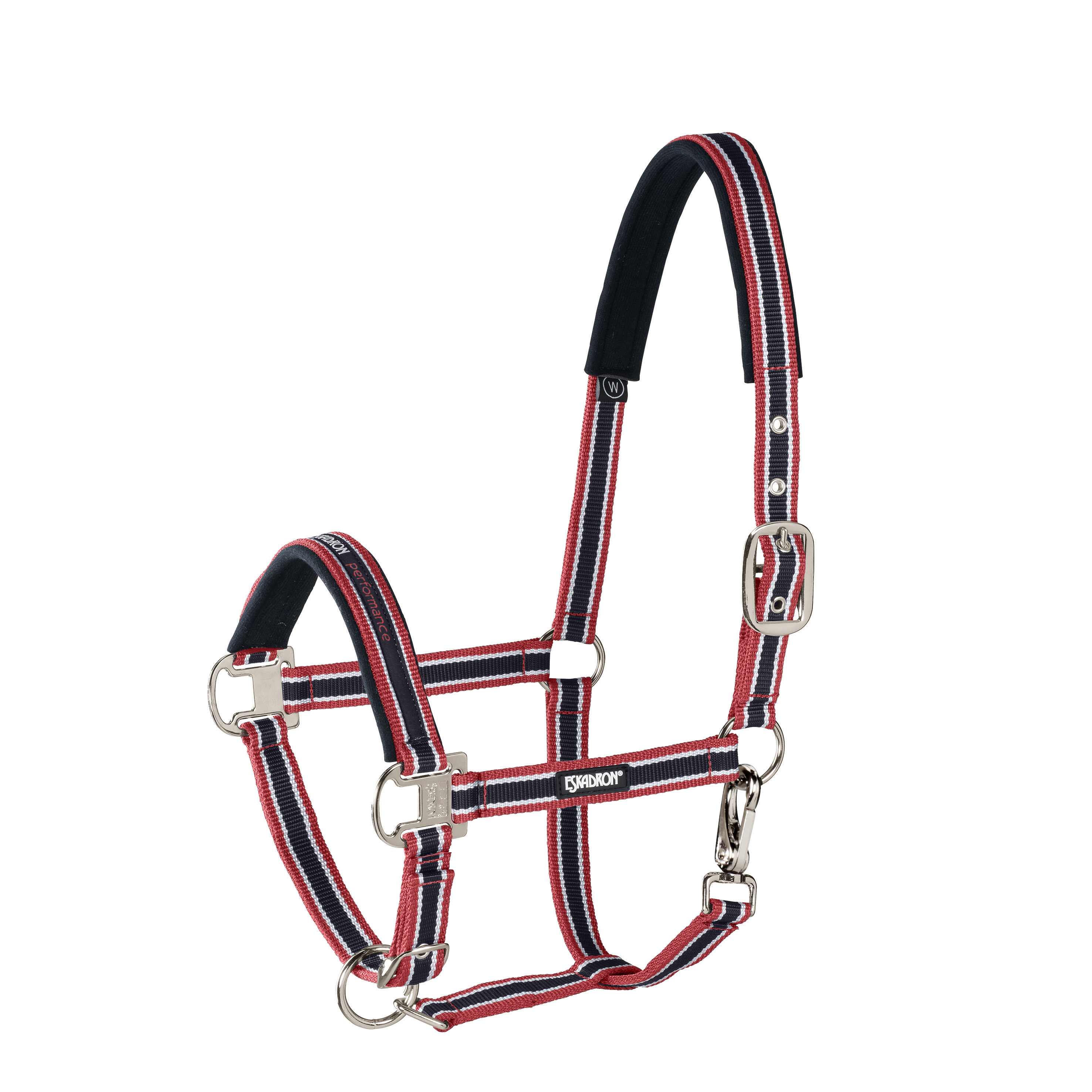 Halter Pin Buckle