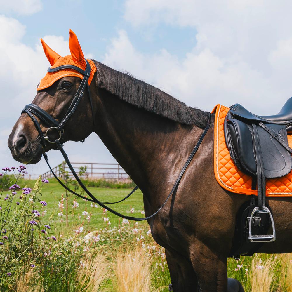 Ear bonnet Wellington Diamond Rope