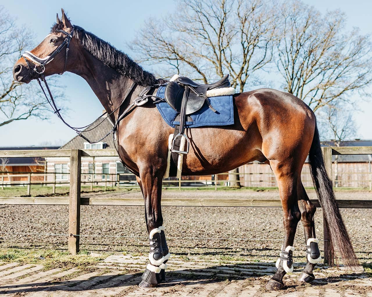 Springglocken Ontario