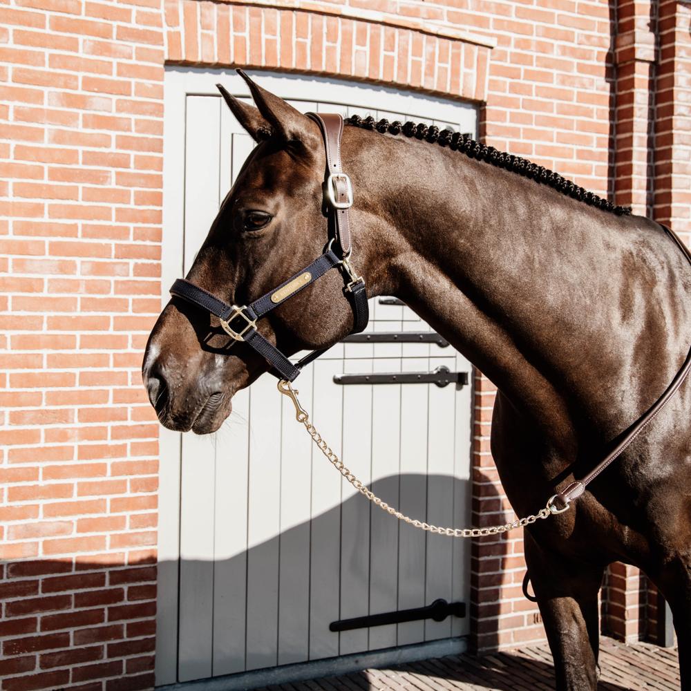Führleine Leder Mit Kette