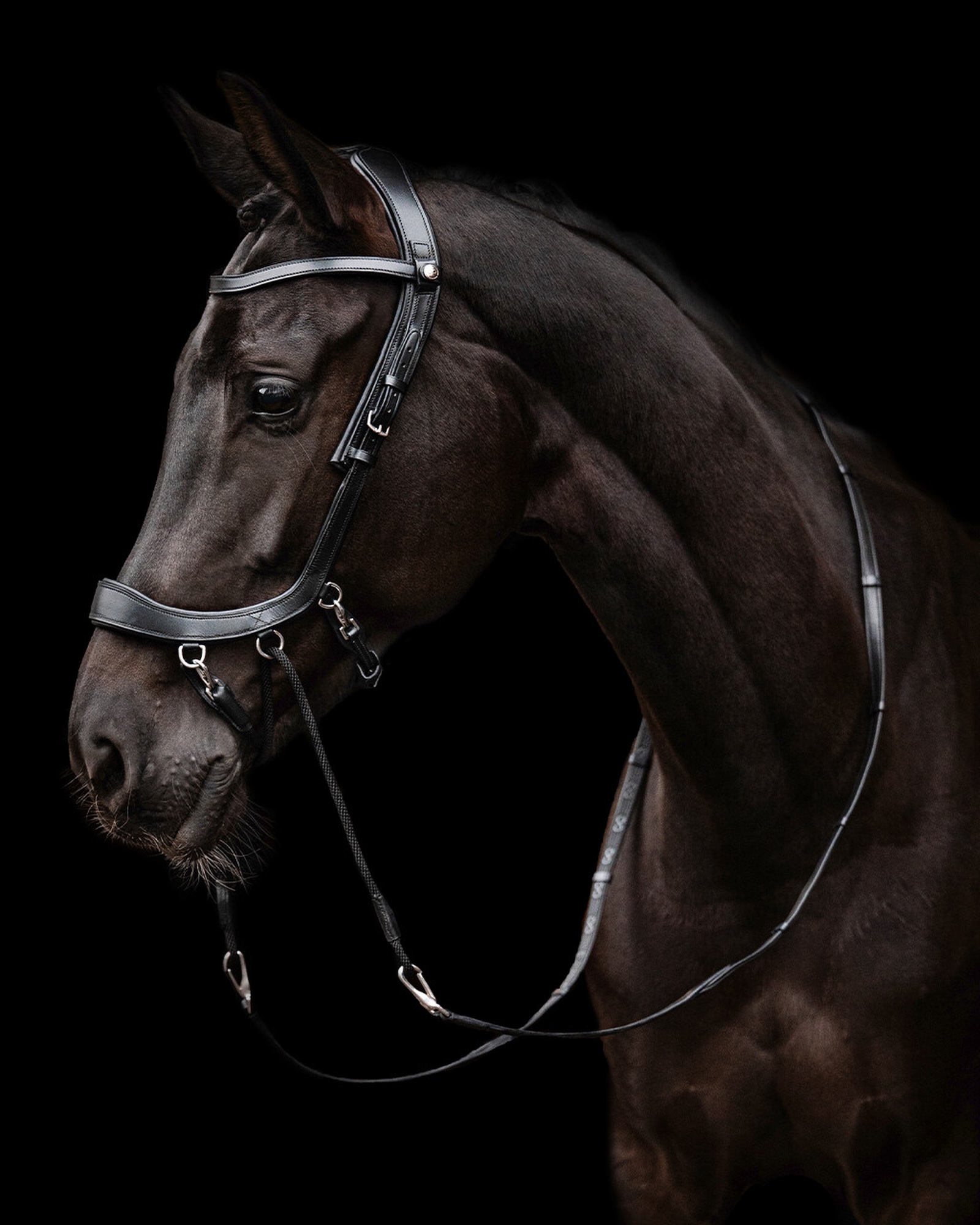 Snaffle FaySport bitless