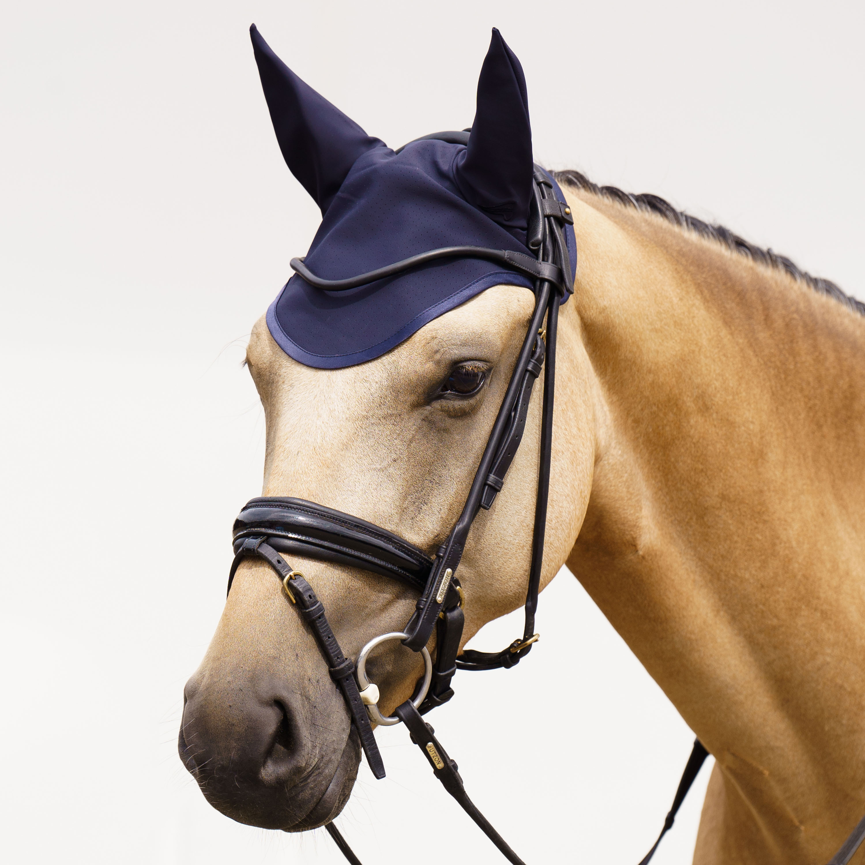 Fliegenhaube Coco