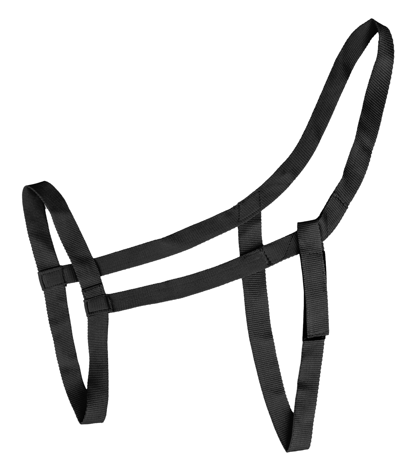 Pasture halter